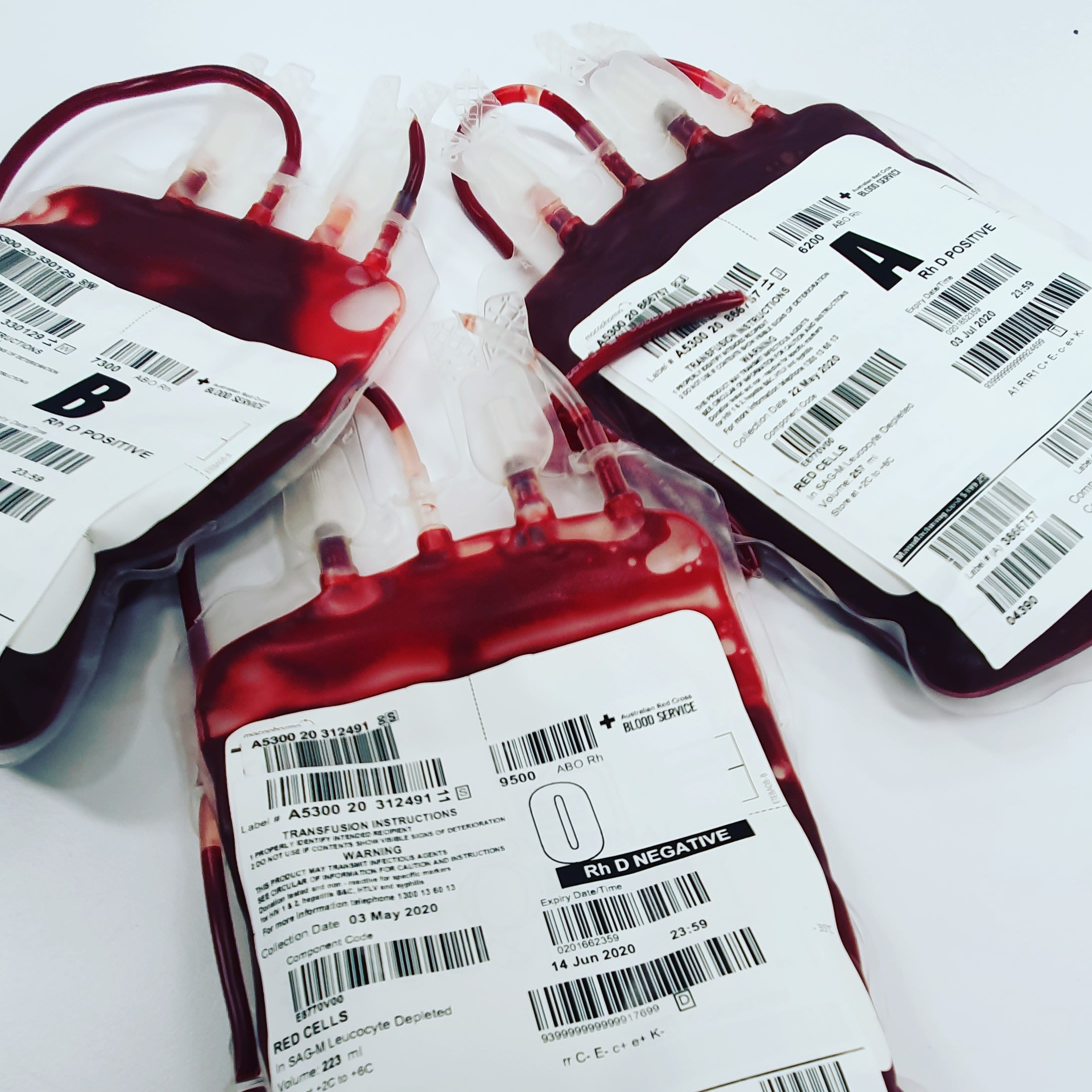 Read more about the article The 14th of June is International Blood Donor Day.