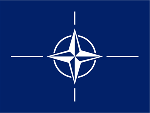 Kaikkonen to attend NATO meeting