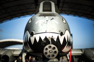 Read more about the article The Air Force Is Retiring 167 A-10 Warthogs But Will Keep The F-22 Raptor (For Now)